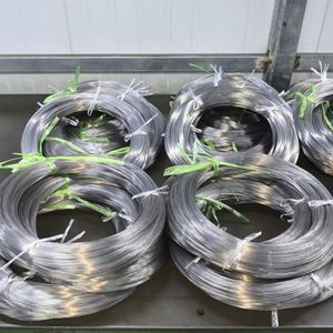 ลวดผูกเหล็กกล้าคาร์บอน BWG14 Q195 แบบม้วน ชุบกัลวาไนซ์แบบจุ่มร้อน พร้อมบริการตัดและดัดเชื่อม - Product Image 2