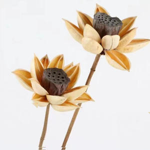 Vente en gros Fleur séchée à la main fleurs en bois séchées bourgeon rouge lotus pour artiste bouddhiste décoration intérieure - Product Image 1