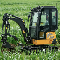 Mini-excavatrice hydraulique compacte sur chenilles 2,4T |   Moteur et engrenages Kubato EPA |   Certifié CE, directement de l'usine