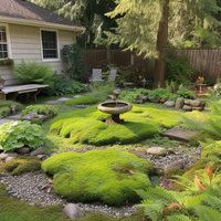 Usine plantation conception personnalisée bricolage idées Simulation gazon artificiel faux arbre diverses plantes pour hôtel maison jardin espace décor