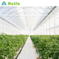 Cadre en acier galvanisé à chaud Poly High Tunnel Serres Serres au poivre agricole