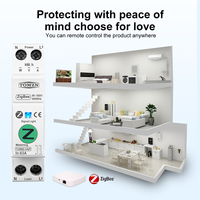 Interrupteur intelligent WiFi TOMZN Zigbee 63A 1P+N avec compteur d'énergie, surveillance de la consommation Kwh, disjoncteur, minuterie, relais MCB TUYA Smartlife