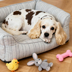 C4P sofá de lujo personalizable cómodo para perros cama para mascotas sofá cama extraíble lavable para perros perrera con materiales de alta calidad - Product Image 4