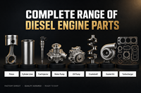 Pièces de moteur diesel D2011 Ensemble de pistons 04281445 pour moteur FM2011