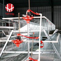 Système d'alimentation automatique efficace pour cages à poussins de type A, destiné aux fabricants d'équipements d'élevage commercial de volailles