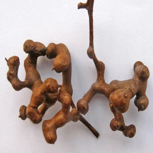 GMP standart yüksek kaliteli gıda sınıfı CAS 27200-12-0 Anti Hangover Hovenia Dulcis özü DHM Ampelopsin dihidromiricetin - Product Image 2