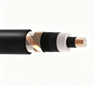 Câble de moyenne tension Zhongkai N2XS2Y 6/10(12)kV 1*50mm² en cuivre XLPE avec gaine MDPE pour centrale électrique souterraine