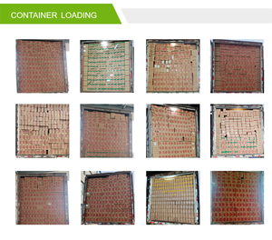 Prix de gros d'usine de vente chaude de restauration rapide et les délicieuses nouilles instantanées les plus favorables - Product Image 4