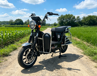 Scooter électrique pour adultes avec frein à disque avant et moyeu arrière et 4 amortisseurs arrière à ressorts, vélo électrique de ville pour le transport de charges