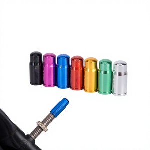 Tige de valve sans chambre à air en acier inoxydable 7x16mm, violette, pour bouchons de valve français, usage automobile - Product Image 3