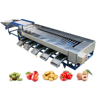 Rolsorteermachine Apple Mango Oranje Diverse Fruit Sorteermachine Fruit En Groente Verwerking Speciale Sorteermachine