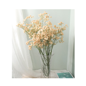 Bouquet de fleurs artificielles Gypsophile 100cm-200cm en plastique pour décoration de mariage et accessoires de salon, fleurs de simulation - Product Image 5