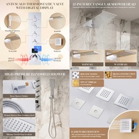Robinet thermostatique mural dissimulé en acier inoxydable noir mat de style américain de 22 pouces avec affichage numérique pour l'exportation