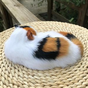 Réaliste en peluche bébé Calico chat Figurine moelleux synthétique <span class=keywords><strong>chaton</strong></span> pour la maison bureau décor à collectionner Animal Kitty cadeau de noël - Product Image 5