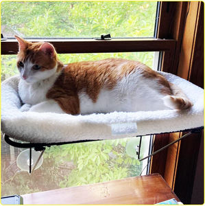 Haustier-Hängematte für Katzen mit Saugnapf für Fenster und Balkon, Wandmontage, Katzenkäfig, Katzenbett - Product Image 4