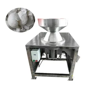 Machine industrielle électrique en acier inoxydable, râpe à poudre de noix de coco, broyeur de viande de noix de coco