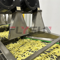 Knapperige Gepofte Chips Machine Bananenchips Maken Machine Bevroren Frietproductielijn