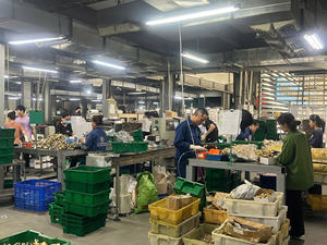 วาล์วประตูทองเหลืองขนาด1นิ้ว2in 3นิ้ว4 "เกลียวตัวเมียสำหรับแก๊สน้ำควบคุมน้ำทองแดงตามสั่ง - Product Image 5