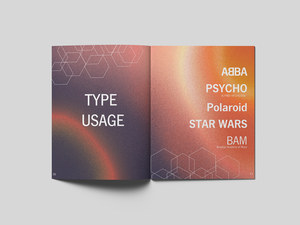 Impresión de Folletos y Catálogos Plegables Personalizados de Fábrica 2025 - Product Image 1