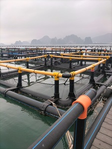 กรงเลี้ยงปลาแบบลอยน้ำ HDPE ผู้ผลิตเวียดนาม ระบบเพาะเลี้ยงสัตว์น้ำ รูปแบบสี่เหลี่ยม PE และตาข่ายพลาสติก - Product Image 3