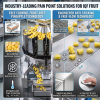 Industriële weeg- en verpakkingsapparatuur voor IQF diepvriesfruit, gemengde groenten, erwten en maïs; automatische verticale verpakkingsmachine (VFFS).