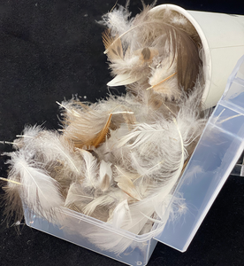 100% plume de canard naturelle pour couette oreiller coussin matériau de remplissage vente chaude lavé naturel 90% plume de canard - Product Image 2