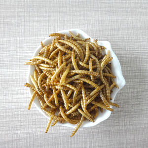 <span class=keywords><strong>Mealworm</strong></span> seca alta proteína em massa para pássaro selvagem 5 kg - Product Image 6
