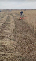 Mini-moissonneuse agricole pour la récolte et le séchage du soja, du riz, des céréales, machine à emballer le riz, le maïs et le blé