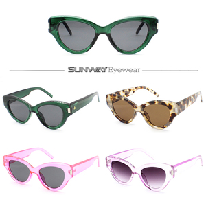 New Fashion Ins Style Brand Designer Ladies Sun Glasses Cat Eye Women Sunglasses Supplier Custom Logo Shades OEM - Product Image 2