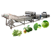 Industriële Avocado Wassen Machine Aardbei Wasmachine Groente Wasmachine