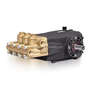 Botuo 22lpm 500bar DSP-N High Pressure Triplex Plunger Pump Water Pressure Pump For Stain Removal