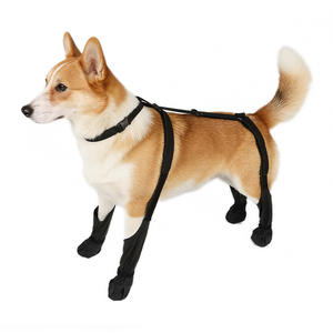 Protector de Articulaciones para Perros y Gatos - Material SBR Ligero y Plegable para Protección de Rótula y Ligamentos, Ayuda de Rehabilitación - Product Image 4