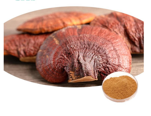 Approvisionnement d'usine 10:1 <span class=keywords><strong>Ganoderma</strong></span> Lucidum extrait poudre 50% polysaccharide contenu extrait de champignon de haute qualité pour une utilisation végétale - Product Image 4