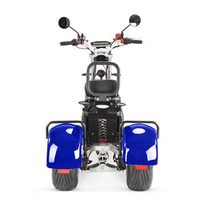 Tricycle Scooter Électrique 2026 4000W à Double Moteur, Pneus Larges, Citycoco, Batterie Amovible, Moto à 3 Roues - Product Image 6