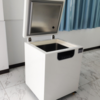Congélateur horizontal biologique cryogénique ULT à très basse température -86°C de 70L pour café