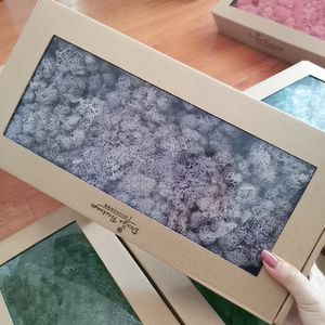 घरेलू सजावट कंपनी पृष्ठभूमि दीवार भूनिर्माण मोएस बहु-रंग सुपरमॉस संरक्षित मॉस थोक - Product Image 6