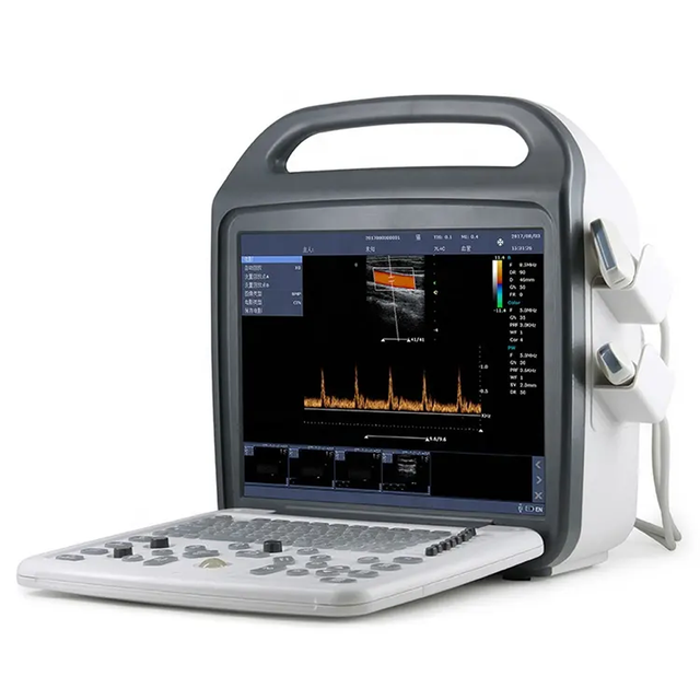 15 Inch DCU-10 Color Doppler for Diagnosis Portable Veterinary Animal Ultrasound Machine Available for Sale
