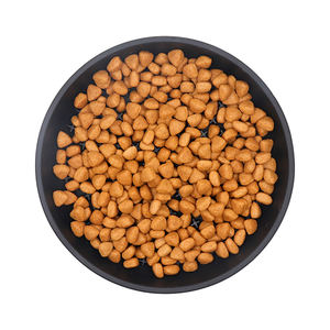 Alimentador de cachorro de silicone eco-amigável, animal de estimação com alimentador lento, tigela para animais de estimação, colchão mágico de silicone de grau alimentar - Product Image 5