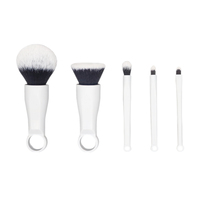 Ensemble de pinceaux de maquillage miniatures de voyage, vegan, ensemble de pinceaux de maquillage professionnels à étiquette privée