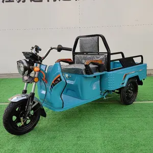 Mini tricycle électrique chinois de luxe bon marché vélo électrique cargo à trois roues pour adulte