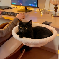 Hamac-lit pour chat à suspendre, pour balcon et bureau d'ordinateur, avec cadre métallique à ventouse, en maille respirante, pour fenêtre intérieure en été et bain de soleil