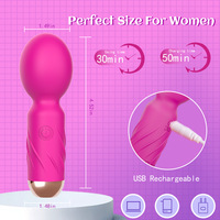 Leistungsstarker Mini G-Punkt Klitoris AV-Stab Anal- und Brust-Vibrator für Frauen Flirt-Masturbation Körpermassagegerät Sexspielzeug