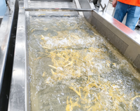 Fruit Groente Bubble Wasmachine Luchtbelwasmachine Roestvrijstalen reinigingsapparatuur voor aardappelwortel Gember Ui