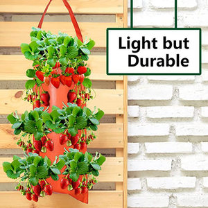 Sacs de culture suspendus DaringFish personnalisés en PE réutilisable pour la culture de plantes et de champignons – Écologiques et durables - Product Image 5