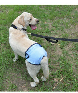 רחיץ נשי גור כלב חיתול מכנסיים פיסיולוגיים סניטריים - Product Image 6