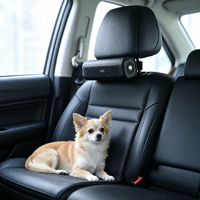 Absorbeur d'odeurs de voiture électrique à piles pour animaux de compagnie, voyage en famille, boîte de purification d'air portable, 300g de billes de charbon actif