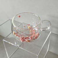 Tasse à double paroi en verre borosilicate transparent, résistante à la chaleur, pour jus, simple et isolante, avec fleurs séchées