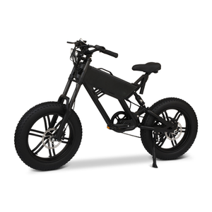 Vélo de montagne électrique à vitesse variable KAMAS, nouvelle version, robuste, double transmission, neige, 750W, 40-60 km/h, pour homme - Product Image 5