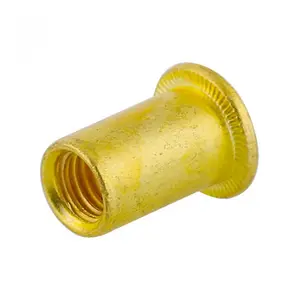 M3 M4 M6 H59 H62 ottone bronzo rame lega di acciaio semplice placcatura di zinco rivestimento piccola testa piatta rivetto dadi seghettati