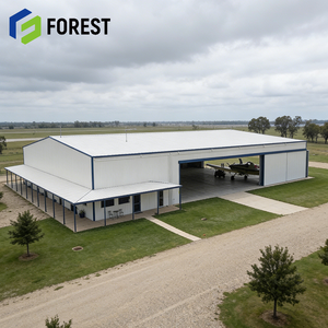 Hangar para Aviones de Estructura Metálica de Acero, Moderno, Económico, Ignífugo, para Logística Aeronáutica, Listo para Enviar - Product Image 1